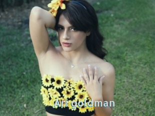 Ari_goldman