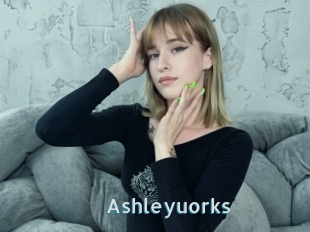 Ashleyuorks
