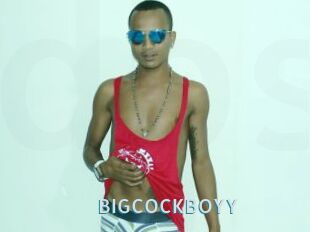 BIGCOCKBOYY
