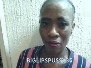 BIGLIPSPUSSY35