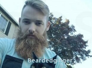 Beardedginger