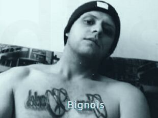 Bignois