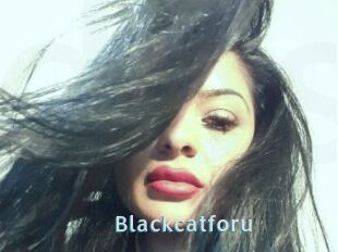 Blackcatforu