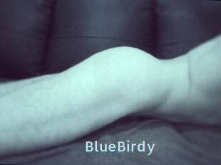 BlueBirdy