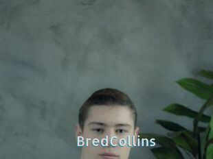 BredCollins