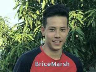 BriceMarsh