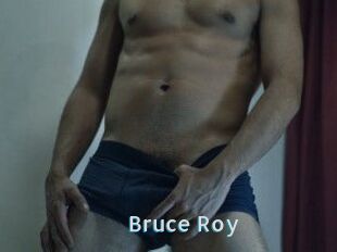 Bruce_Roy