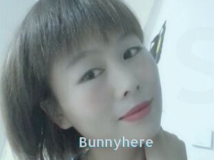 Bunnyhere