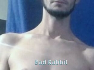 Bad_Rabbit