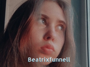 Beatrixfunnell