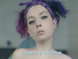 Bedside_willow
