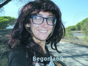 Begonia69