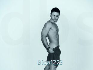 Bica1223