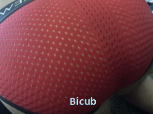 Bicub