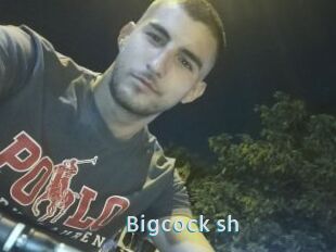 Bigcock_sh