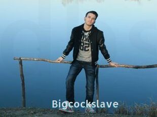 Bigcockslave