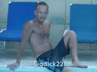 Bigdick22cm