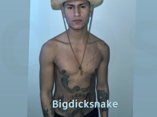 Bigdicksnake