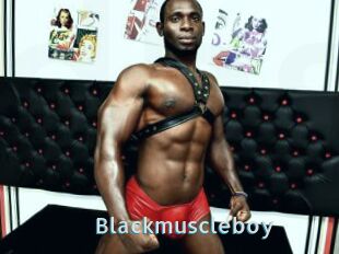 Blackmuscleboy