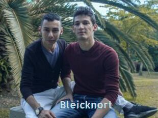 Bleicknort