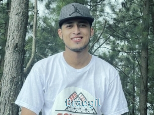 Bradgil