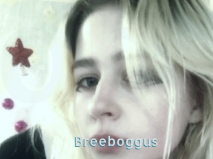 Breeboggus