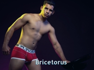 Bricetorus