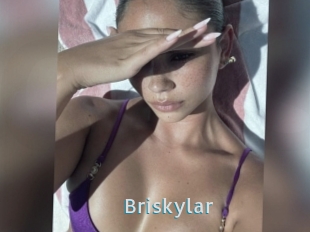 Briskylar