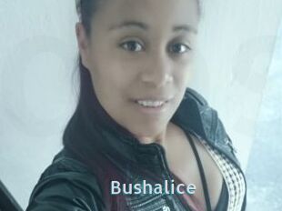 Bushalice