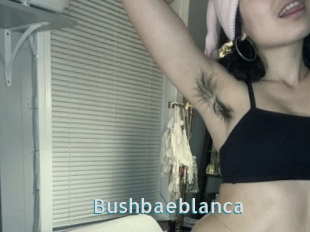 Bushbaeblanca