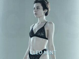 CLEO_MINT