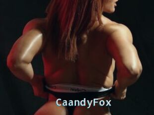 CaandyFox