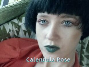 Calendula_Rose