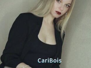 CariBois