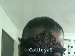 Cattleya_S