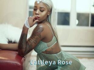Cattleya_Rose