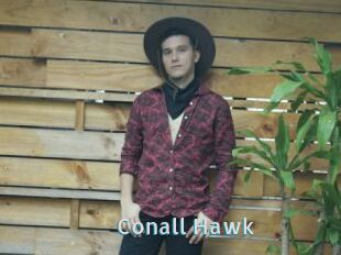 Conall_Hawk