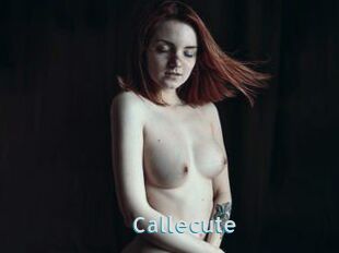 Callecute