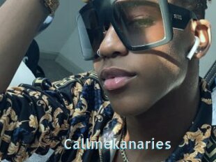 Callmekanaries