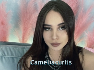 Cameliacurtis