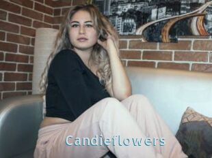 Candieflowers