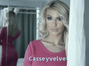 Casseyvelvet