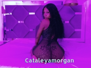 Cataleyamorgan