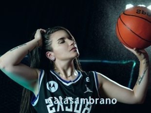 Catasambrano