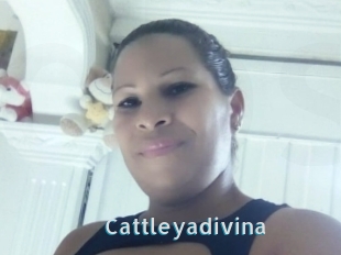 Cattleyadivina
