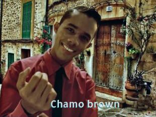Chamo_brown