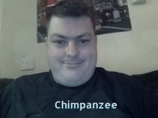Chimpanzee