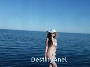 DestinyAnel