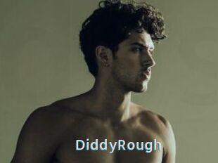DiddyRough