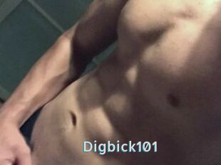 Digbick101